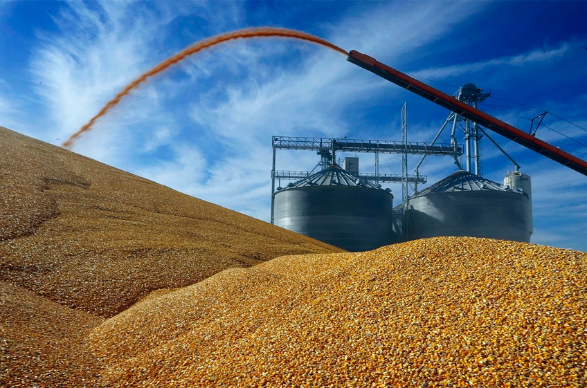 Росстат: к началу декабря запасы зерна в сельхозпредприятиях на 34% превышали прошлогодние