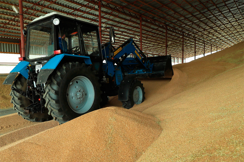 В российский госфонд 22 декабря было закуплено 50,49 тыс. тонн зерна