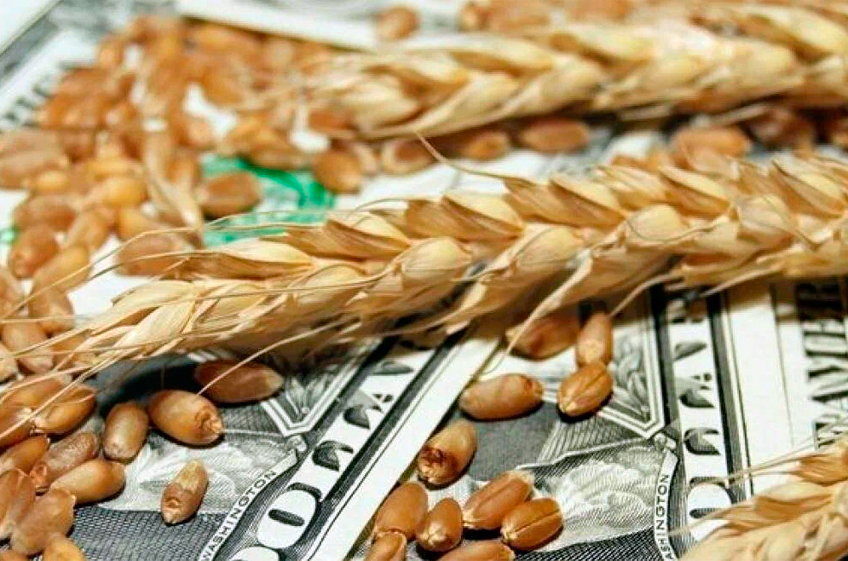 ФАО: мировые цены на зерно в ноября 2022 года выросли на 6,3%