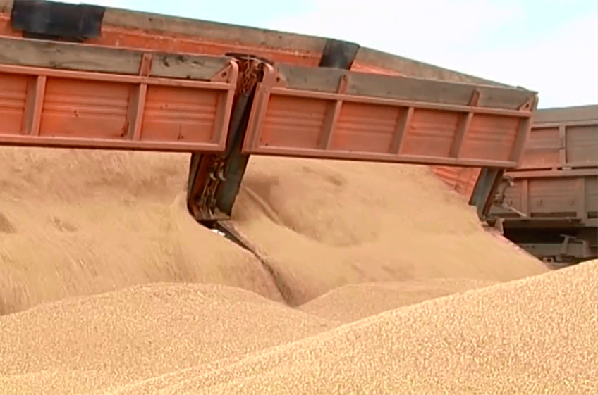 В российский госфонд 6 декабря было закуплено 49,68 тыс. тонн зерна