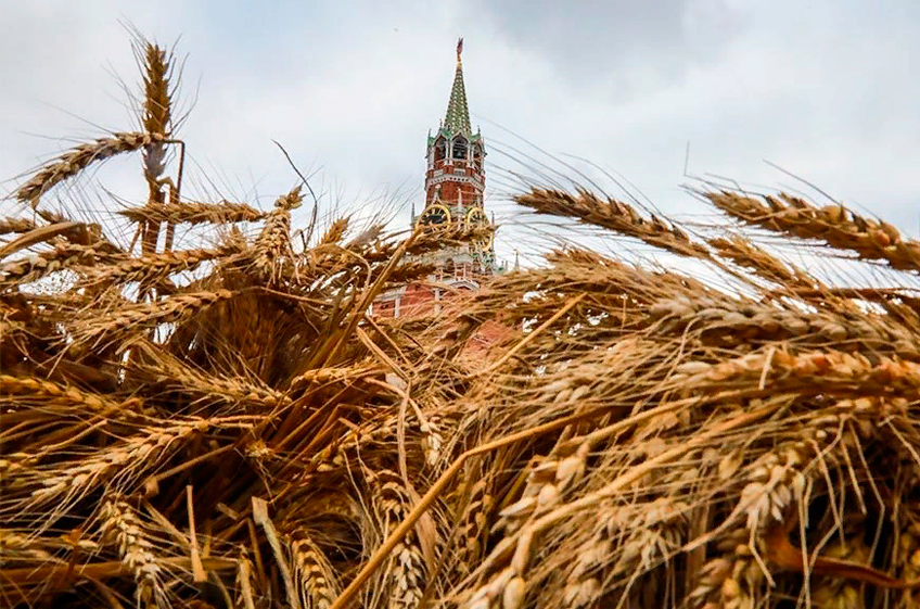 Ставки экспортных пошлин на российские пшеницу и ячмень снижены