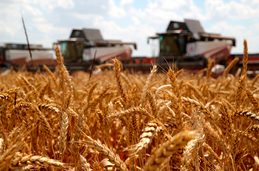 Российские участники рынка сообщили о рисках для экспорта зерна из-за санкций
