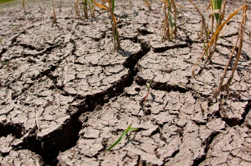 Гидрометцентр: в ряде регионов Приволжского округа существует риск сокращения урожая