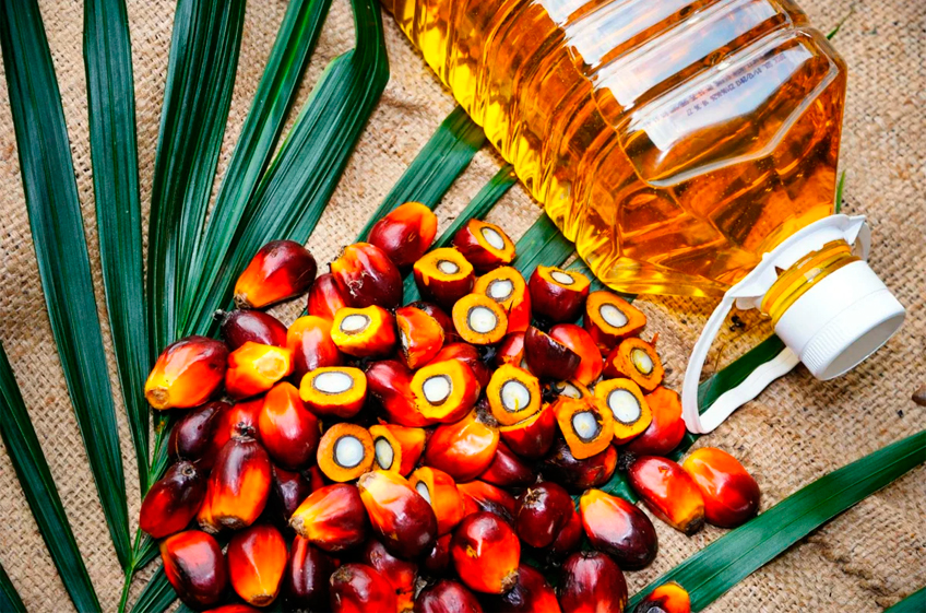 В январе-ноябре 2021 года Россия импортировала почти 1 млн тонн пальмового масла