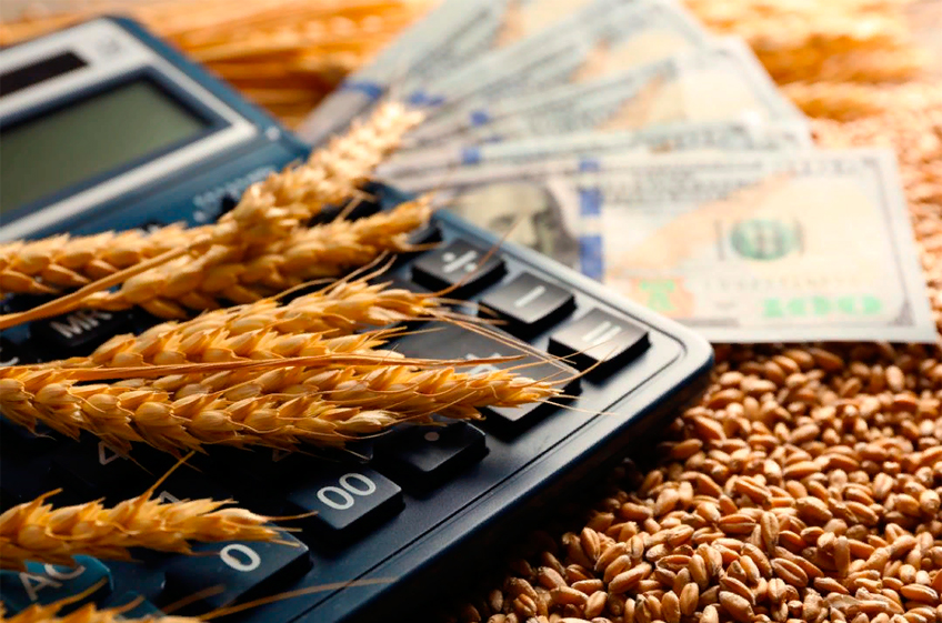 За 5 месяцев текущего сезона экспортный потенциал российской пшеницы реализован более чем на 50%