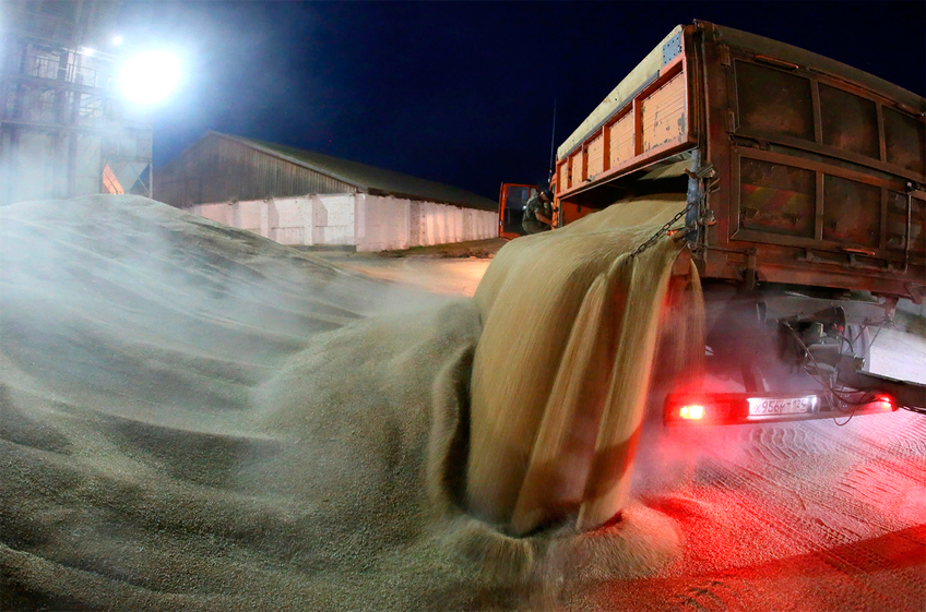Россия с начала сезона снизила экспорт пшеницы почти на 24%