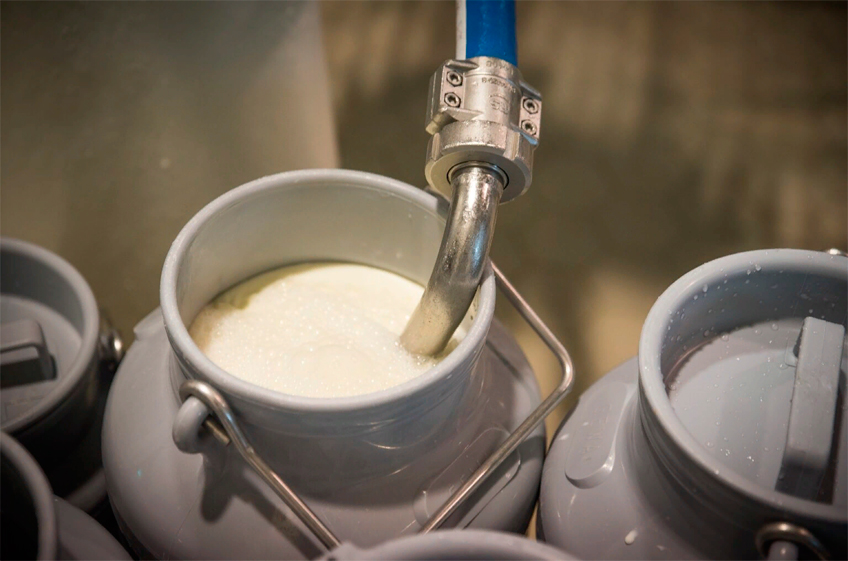 Минсельхоз РФ рассчитывает на сохранение динамики роста производства молока в 2022 году