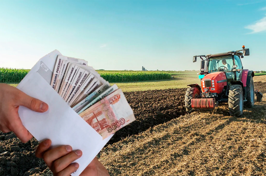 Российские регионы довели до аграриев 99% федеральных субсидий