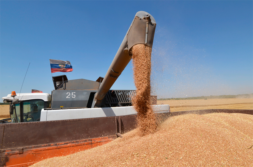 Квотирование экспорта зерна может означать его прогнозируемый дефицит
