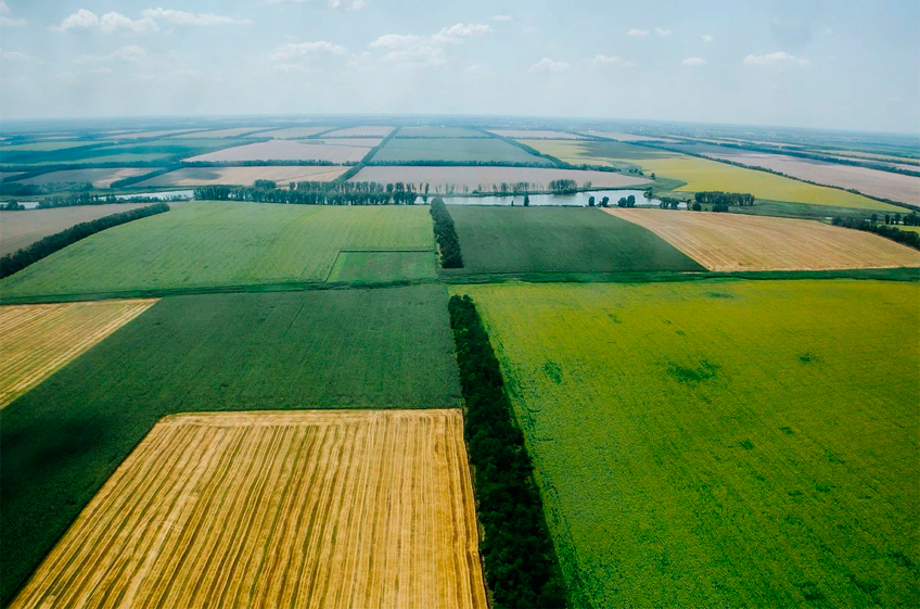 Крупнейшие землевладельцы России контролируют 16,7 млн га сельхозземель