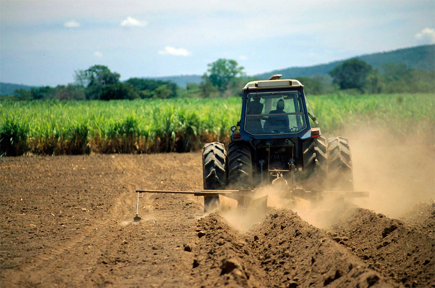 Украина засеяла сельхозкультурами 75% от прошлогодних площадей