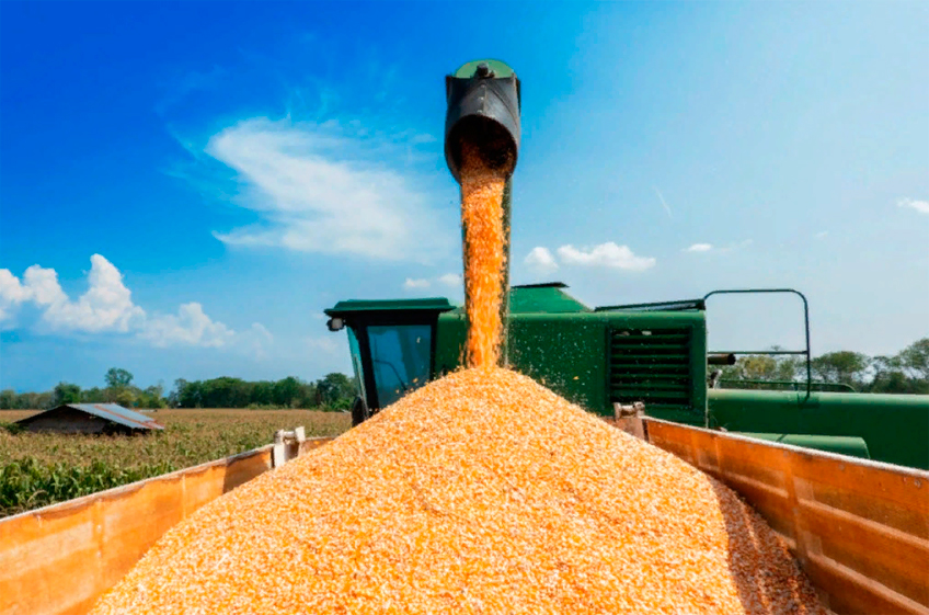 Союз экспортеров зерна: Россия не сможет выбрать квоту на экспорт зерна