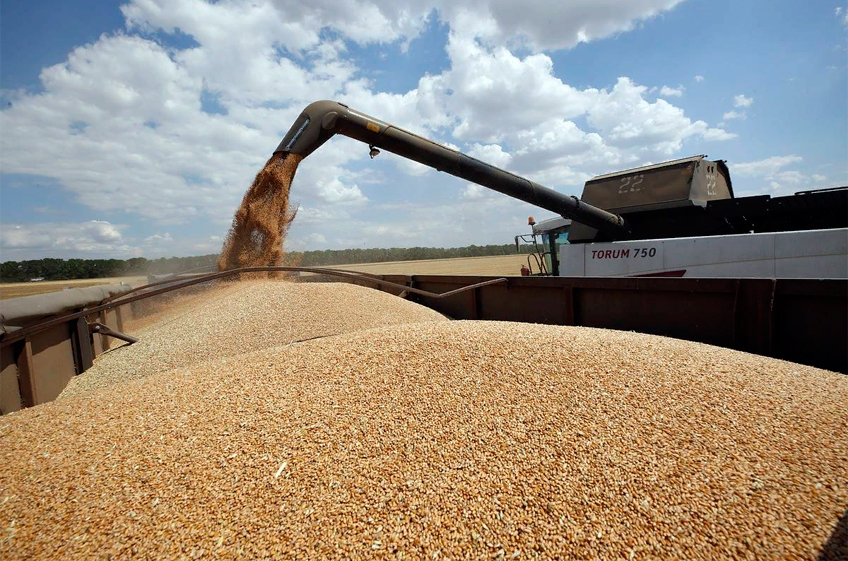 СовЭкон повысил до рекордного прогноз по экспорту пшеницы из России