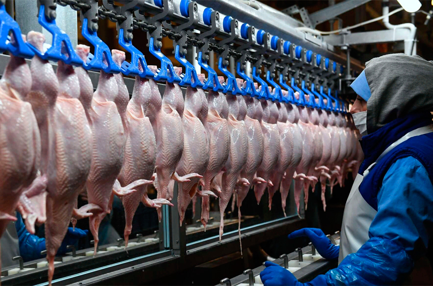 Опубликован рейтинг 25 крупнейших производителей мяса птицы в России