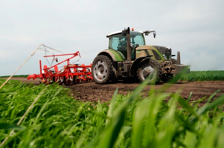 Росстат: в России к 1 мая посеяли на 15,7% меньше зерновых, чем в прошлом году