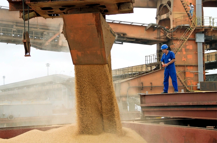 Минсельхоз США повысил прогноз экспорта пшеницы из России