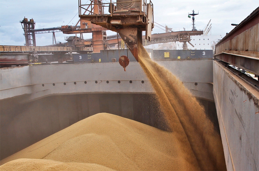 Российские экспортеры зерна столкнулись с острым дефицитом флота