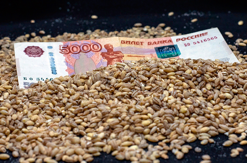 Бюджет России получил от зернового демпфера около 175 млрд рублей