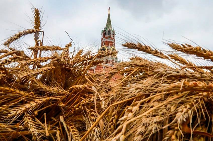 L'Opinion: рекордный урожай пшеницы укрепит позиции России на мировом рынке