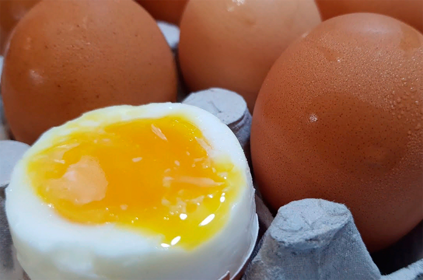 Исследование: программы кормления влияют на цвет и качество яиц