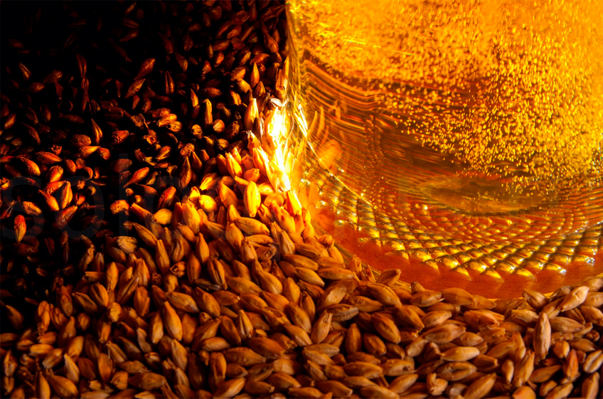 Омские ученые вывели близкий к зарубежным аналогам сорт пивоваренного ячменя