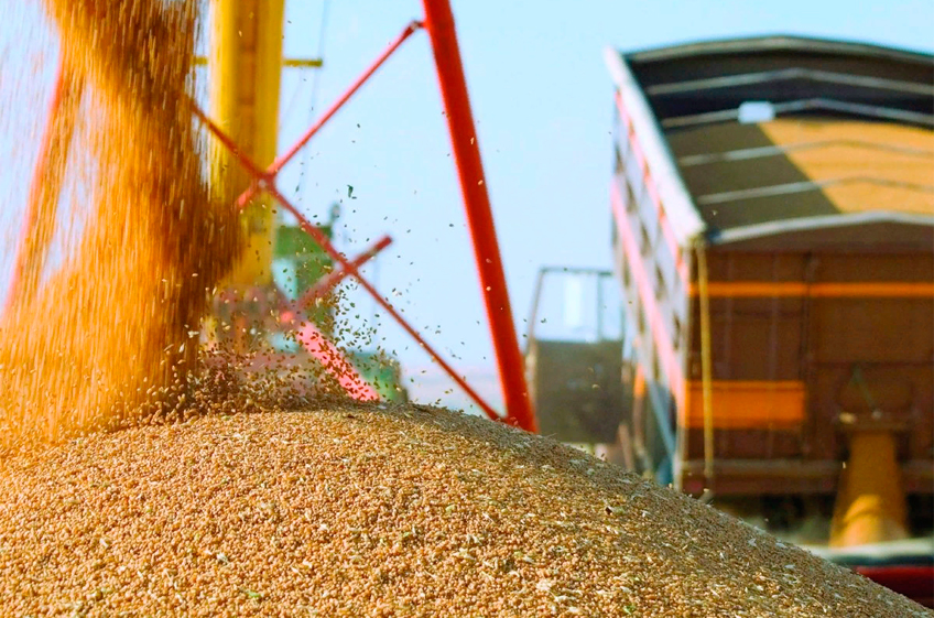 Россия к новому сезону может подойти с более высокими, чем ожидалось, запасами зерна