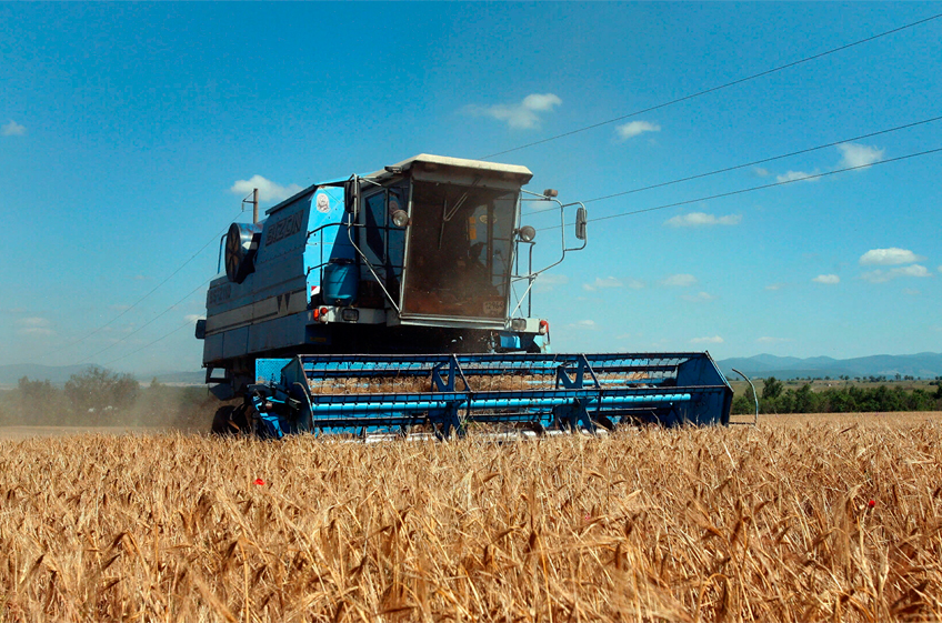Что ждет российскую зерновую отрасль в санкционный период