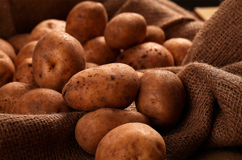 Власти надеются, что Россия сможет выйти на полное самообеспечение семенами картофеля к 2025 году
