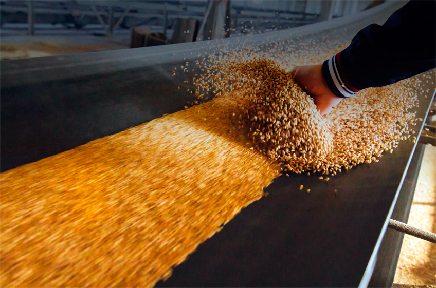 Российские производители не боятся проблем с экспортом зерна из-за санкций