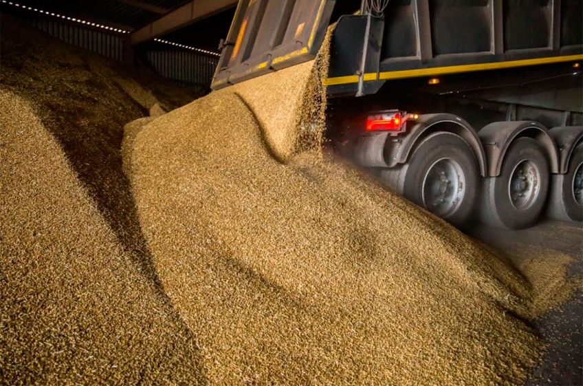 К началу апреля в сельхозпредприятиях России имелось чуть более 16 млн тонн зерна