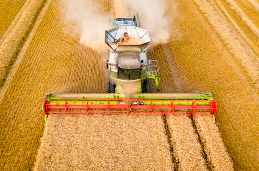 «СовЭкон» обновил прогнозы экспорта пшеницы из России в текущем и новом сельхозгоду