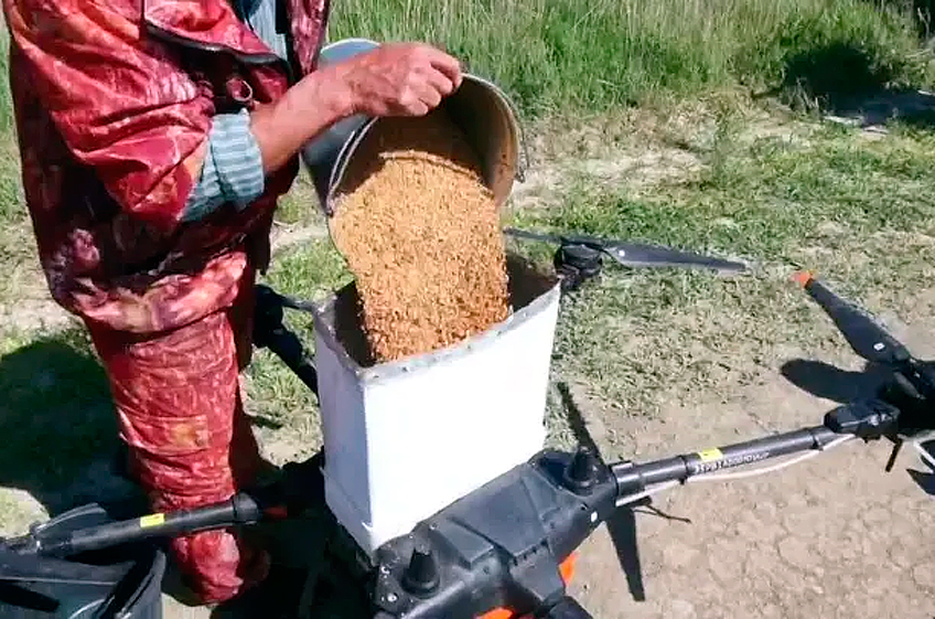 На Кубани впервые в России используют дроны при севе риса