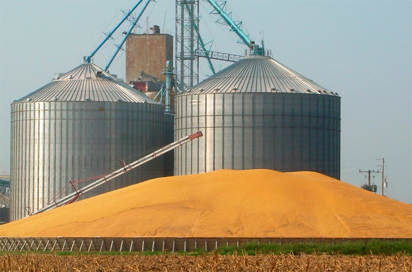 Урожай зерна на Украине в 2022 году будет на 20-30% ниже традиционных показателей