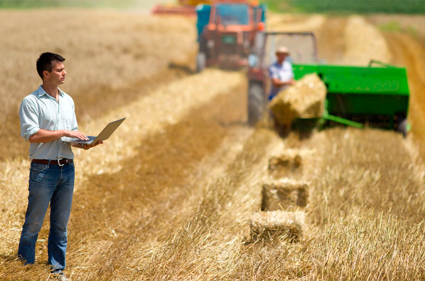 Спрос на покупку готового сельскохозяйственного бизнеса в России в апреле вырос на 266%