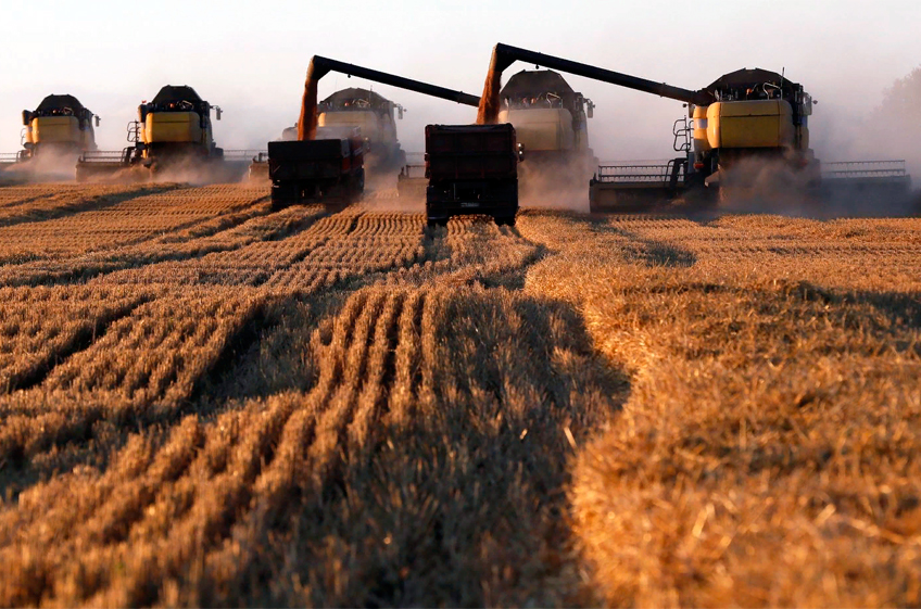 Россия по итогам текущего сезона может поставить на экспорт 33,3 млн тонн пшеницы