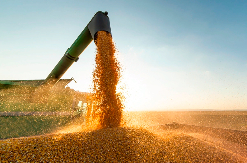 Пошлина на экспорт зерновых культур из России изменится с 13 мая