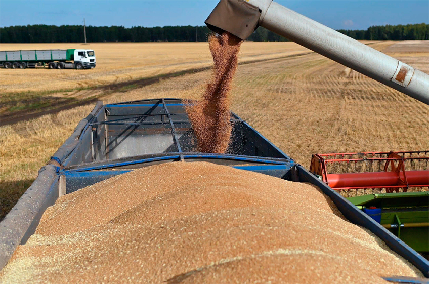 Эксперт считает, что Россия будет единственной страной, которая получит высокий урожай зерна