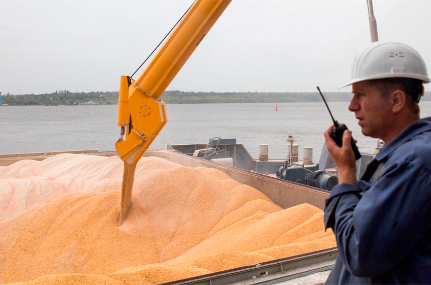 Россия готова обеспечить стабильные и растущие поставки зерна в Турцию