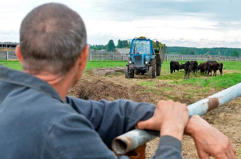 В. Абрамченко: фермеры в России требуют индивидуального подхода и отдельных мер регулирования