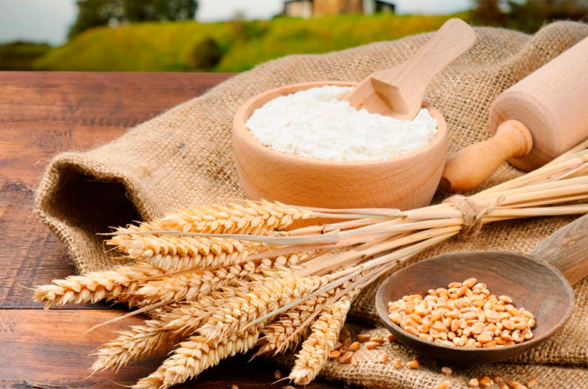 Потенциал России по экспорту пшеничной муки составляет 430 тыс. тонн в год