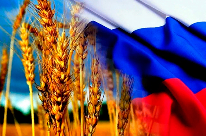 Times: Россия усилила контроль за мировым рынком пшеницы, увеличив в апреле экспорт на 18%