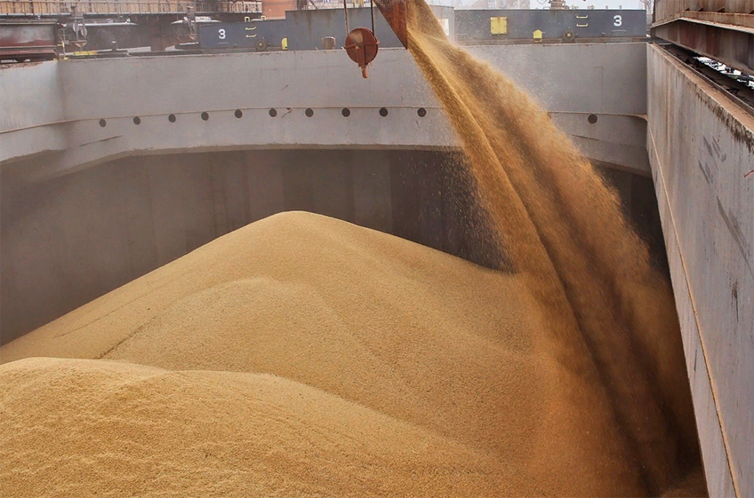 РЗС: в ноябре Россия может увеличить отгрузки пшеницы на экспорт более чем в 2 раза