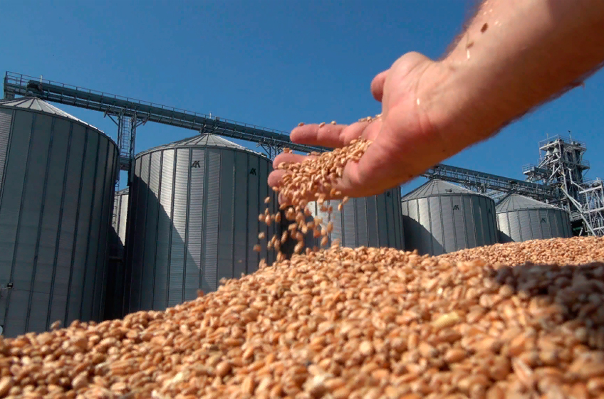 Закупки зерна в российский госфонд на минувшей неделе выросли на 35,1%