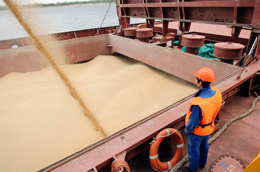 В июле-сентябре Россия снизила отгрузку зерна на экспорт на 22%