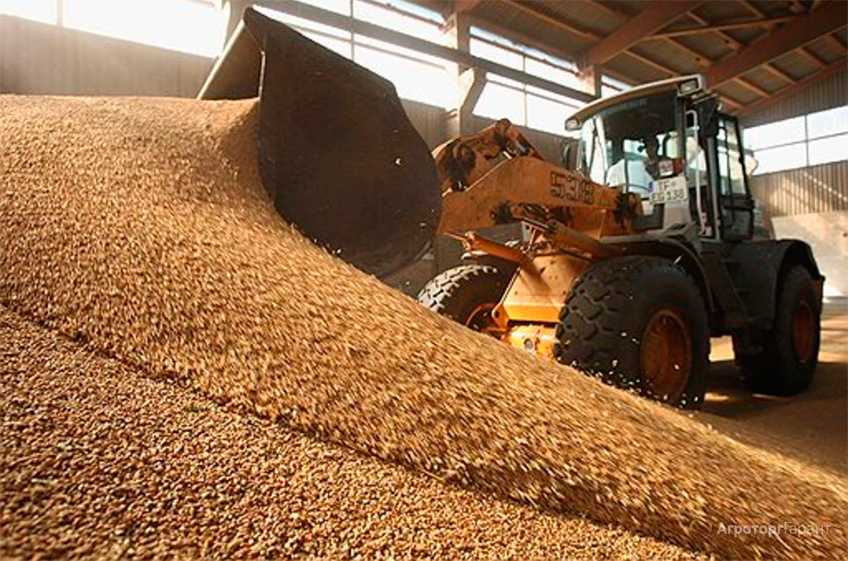ФАС выступила против запрета на работу западных зернотрейдеров в России