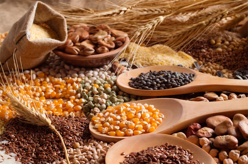РЗС снова требует изменить правила экспорта зерна и масличных