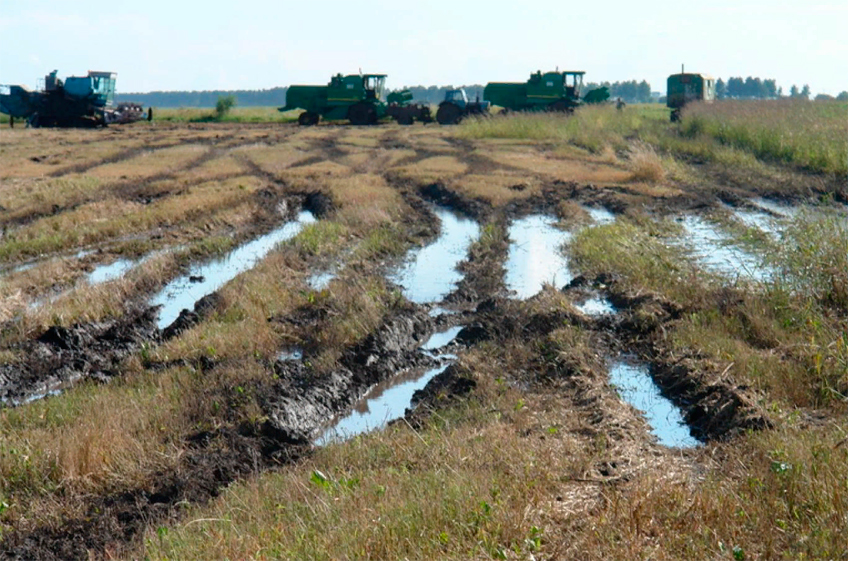 В Центральном Черноземье в зоне риска переувлажнения более 500 тыс. га застрахованных сельхозкультур