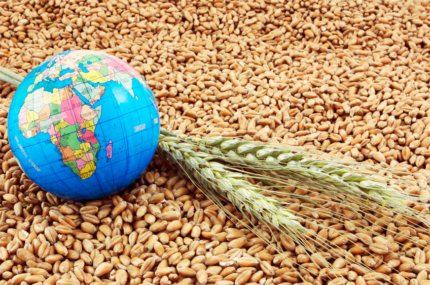 Российские экспортеры зерна будут ориентироваться на рынки стран Ближнего Востока и Северной Африки