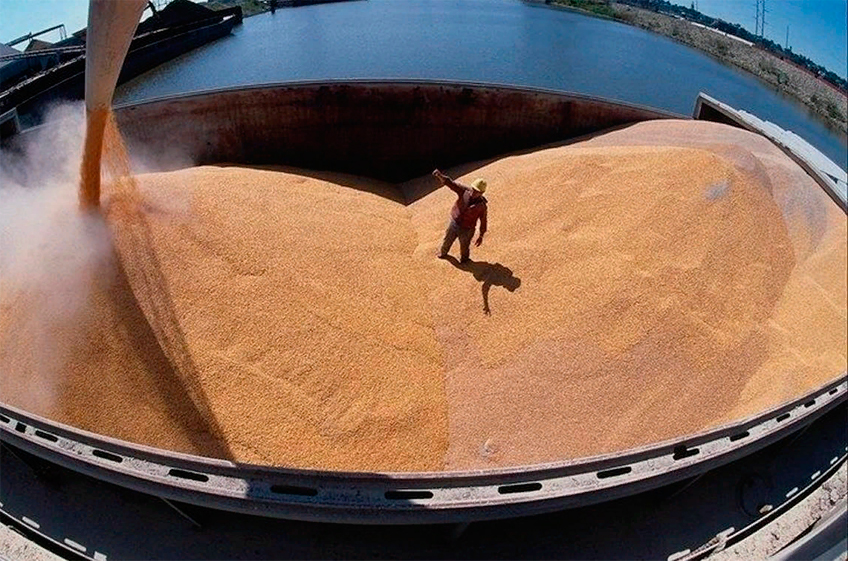 РЗС: российские экспортеры зерна по-прежнему испытывают сложности