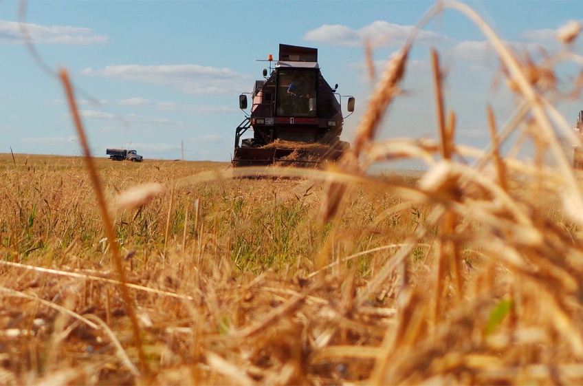 Экспорт российского зерна в августе сократился на 40% в годовом сопоставлении